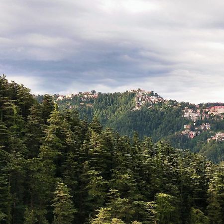 Neha Homestay Shimla Eksteriør billede