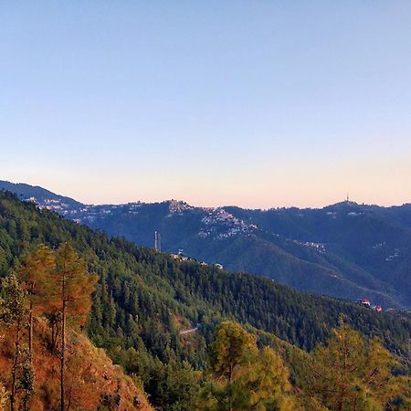 Neha Homestay Shimla Eksteriør billede