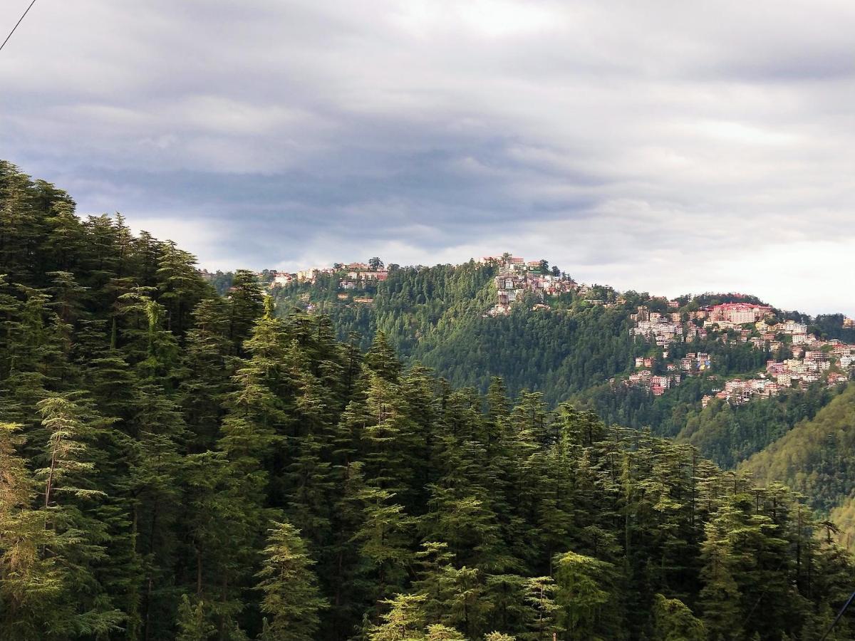 Neha Homestay Shimla Eksteriør billede