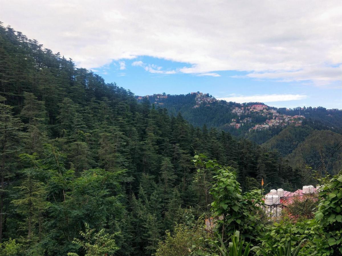 Neha Homestay Shimla Eksteriør billede