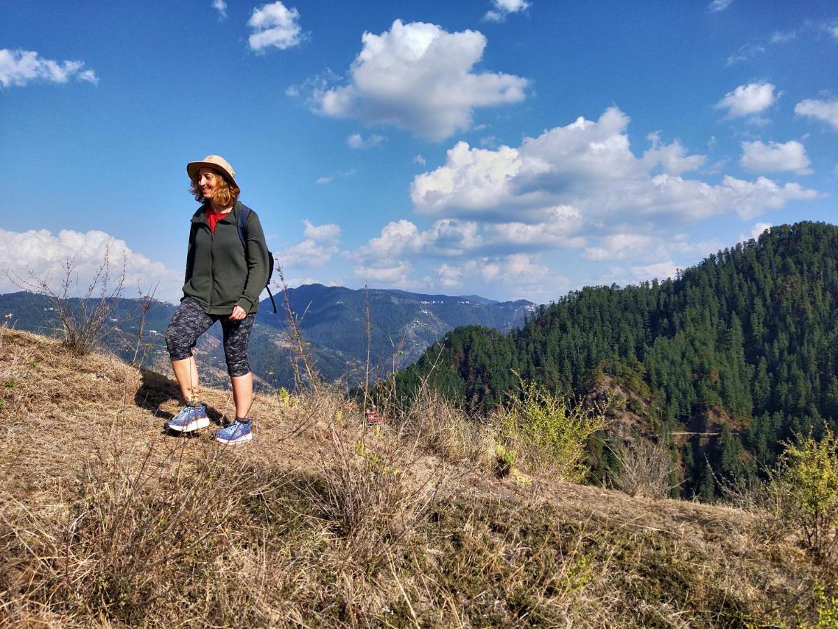 Neha Homestay Shimla Eksteriør billede