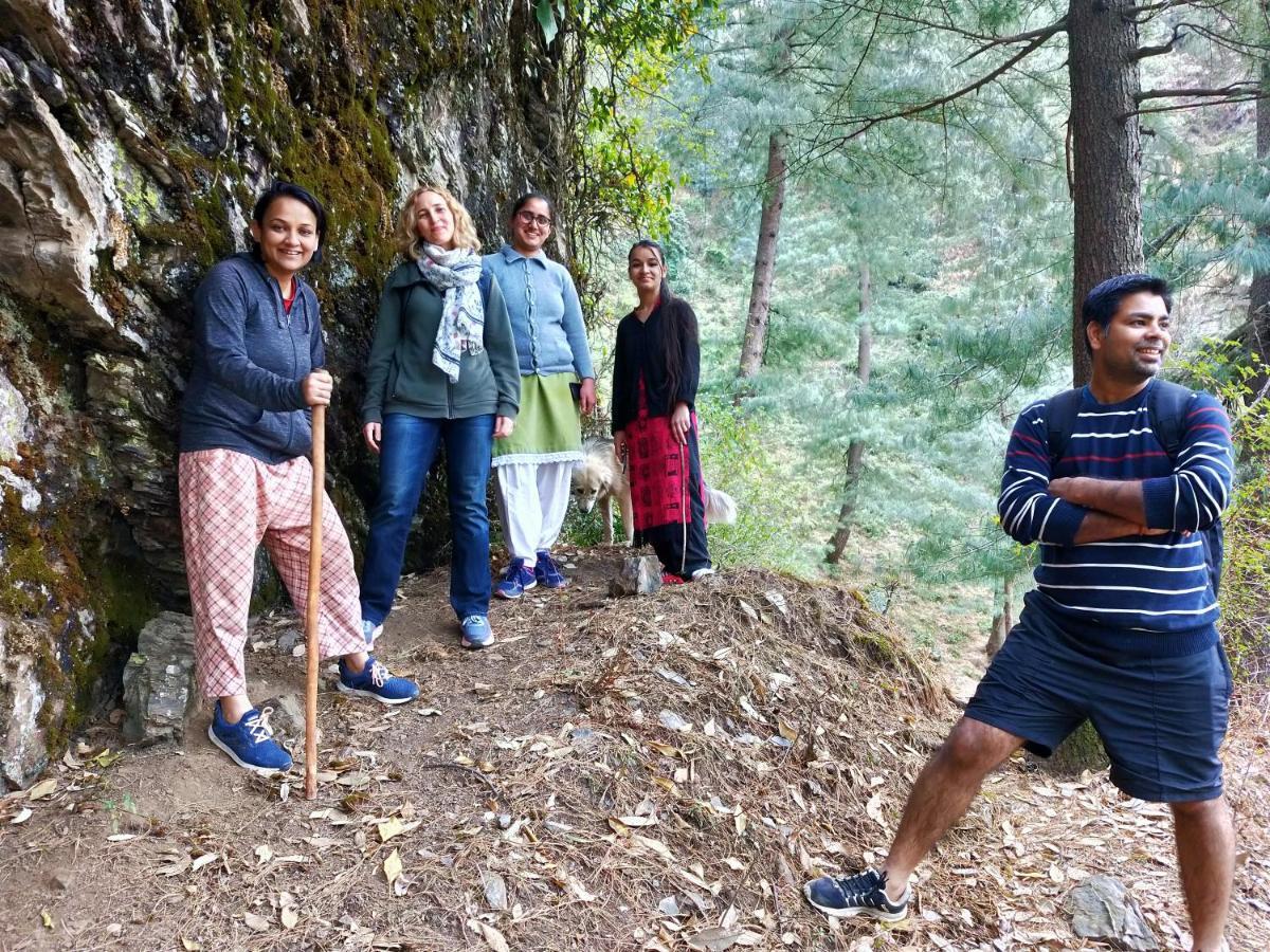 Neha Homestay Shimla Eksteriør billede