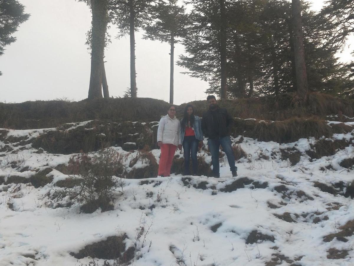 Neha Homestay Shimla Eksteriør billede