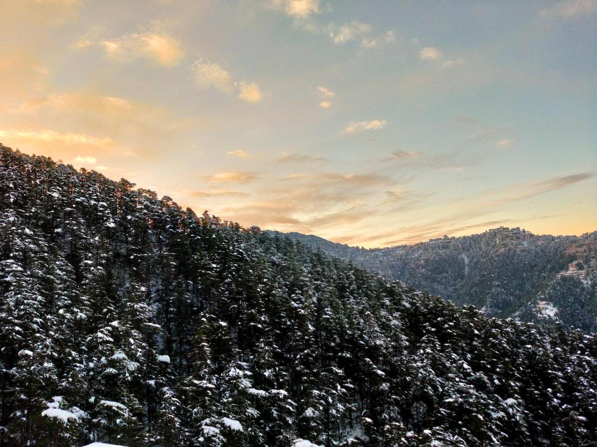 Neha Homestay Shimla Eksteriør billede