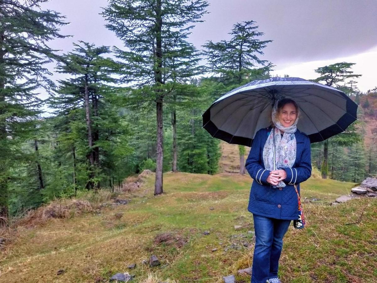 Neha Homestay Shimla Eksteriør billede