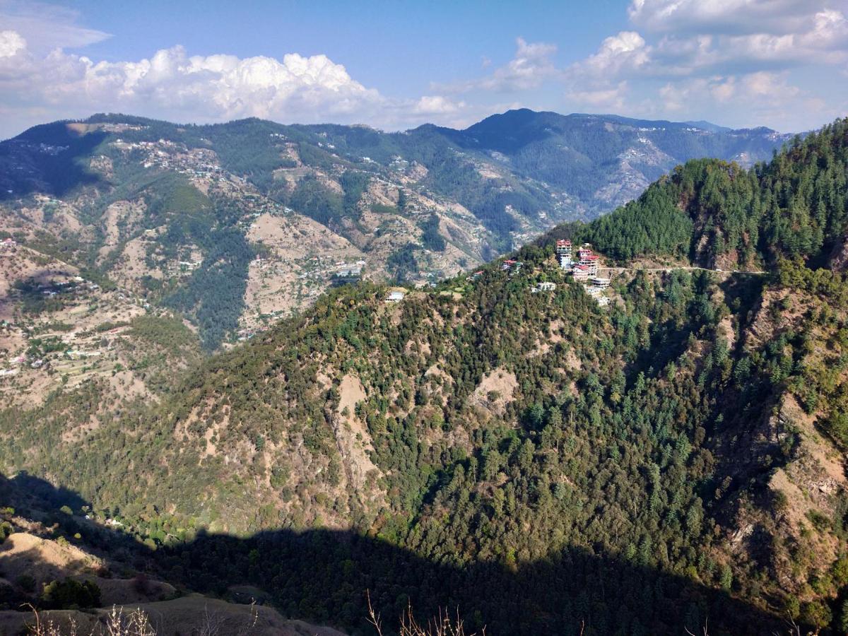 Neha Homestay Shimla Eksteriør billede