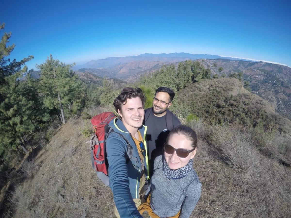 Neha Homestay Shimla Eksteriør billede