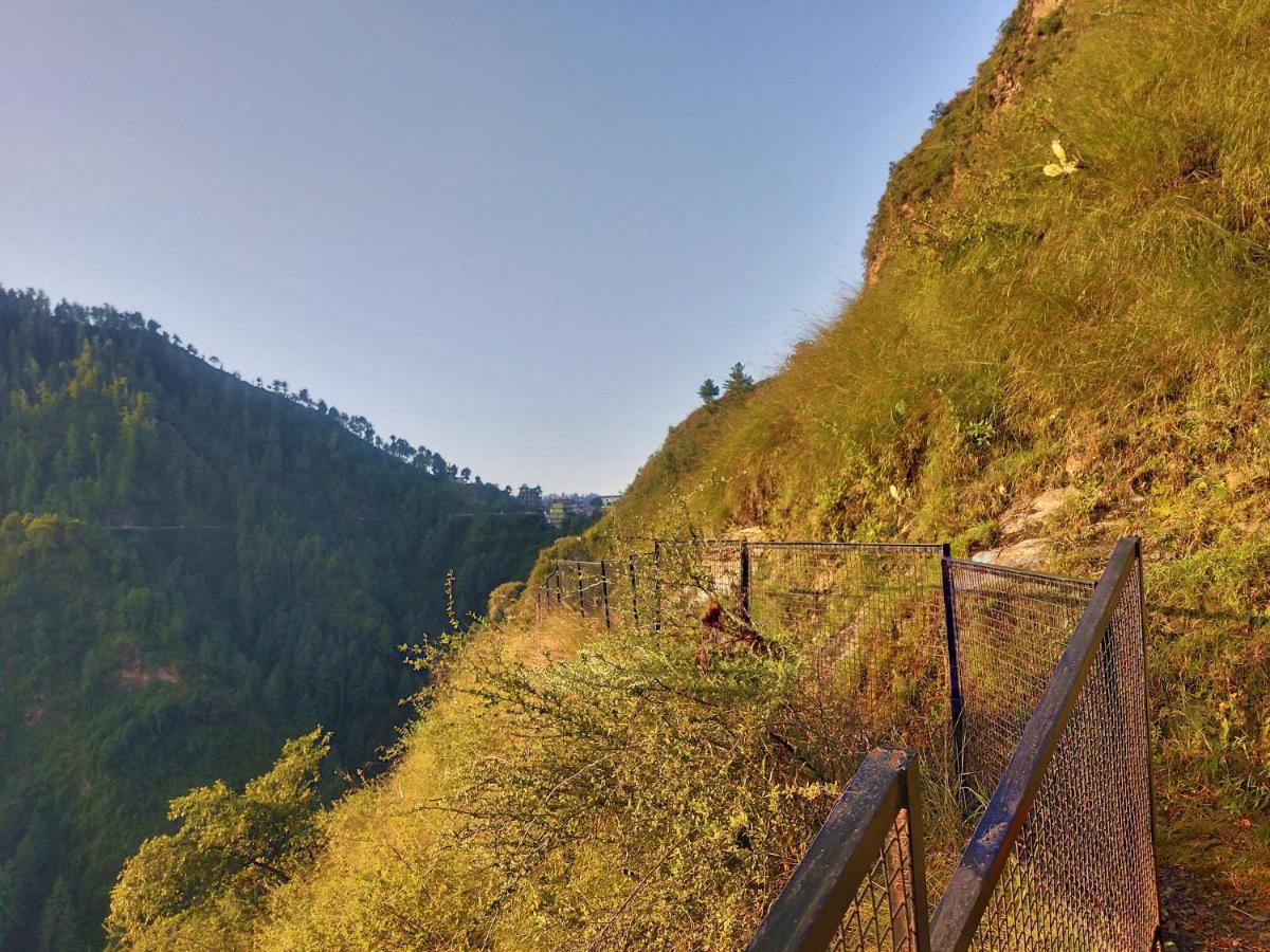 Neha Homestay Shimla Eksteriør billede