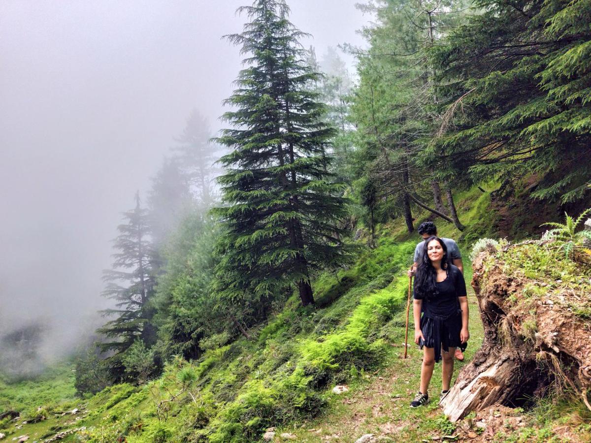 Neha Homestay Shimla Eksteriør billede