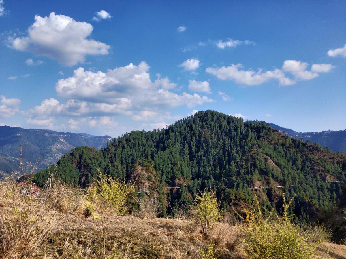 Neha Homestay Shimla Eksteriør billede