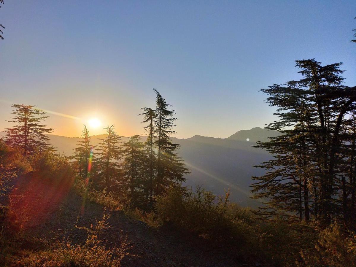 Neha Homestay Shimla Eksteriør billede