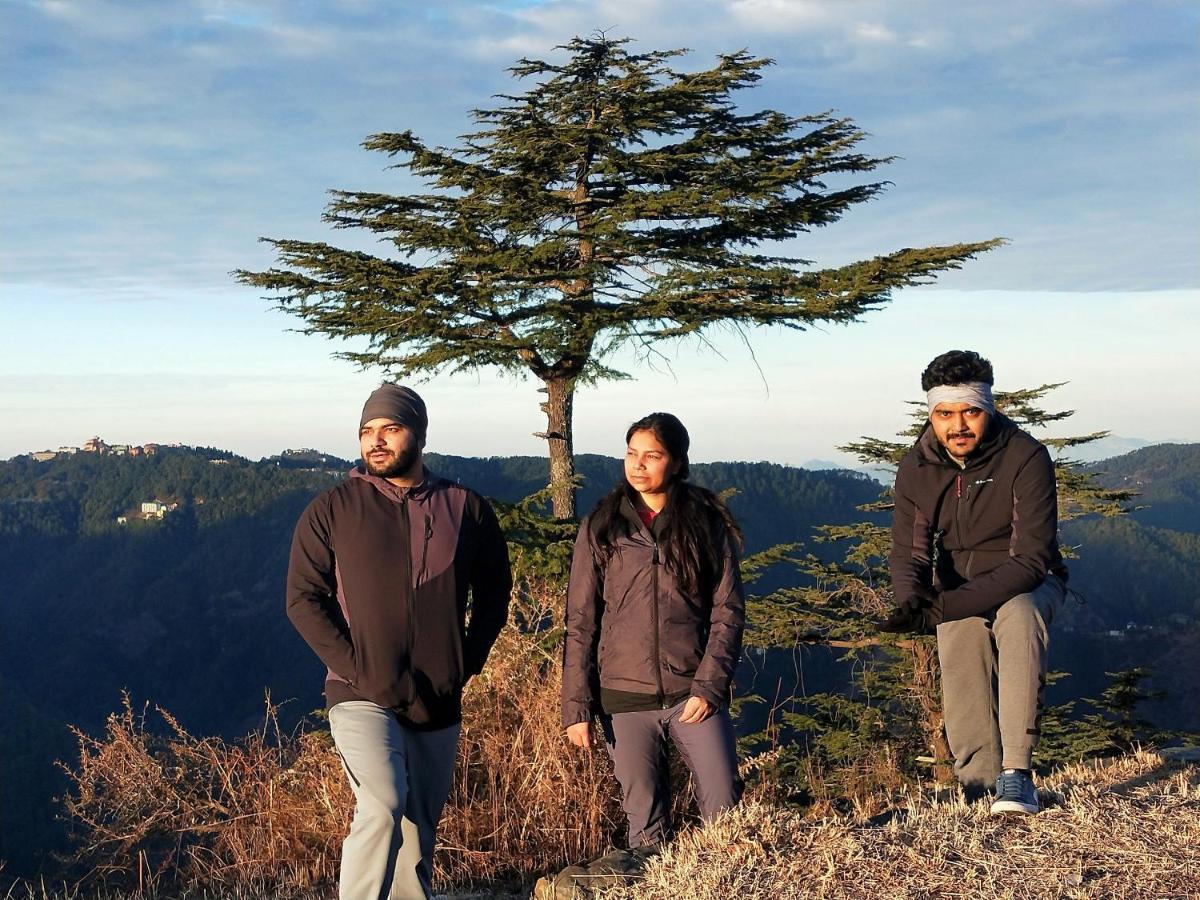 Neha Homestay Shimla Eksteriør billede