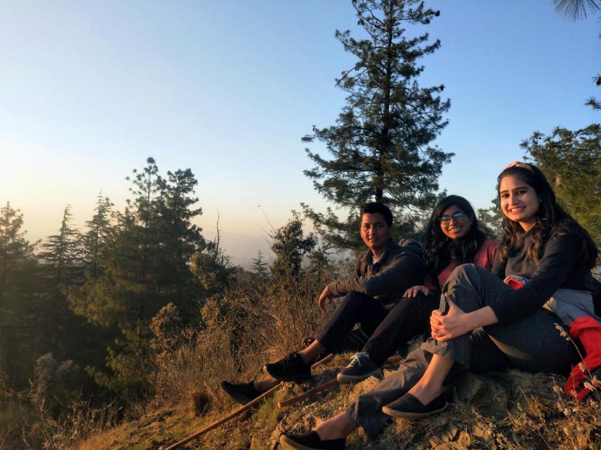 Neha Homestay Shimla Eksteriør billede