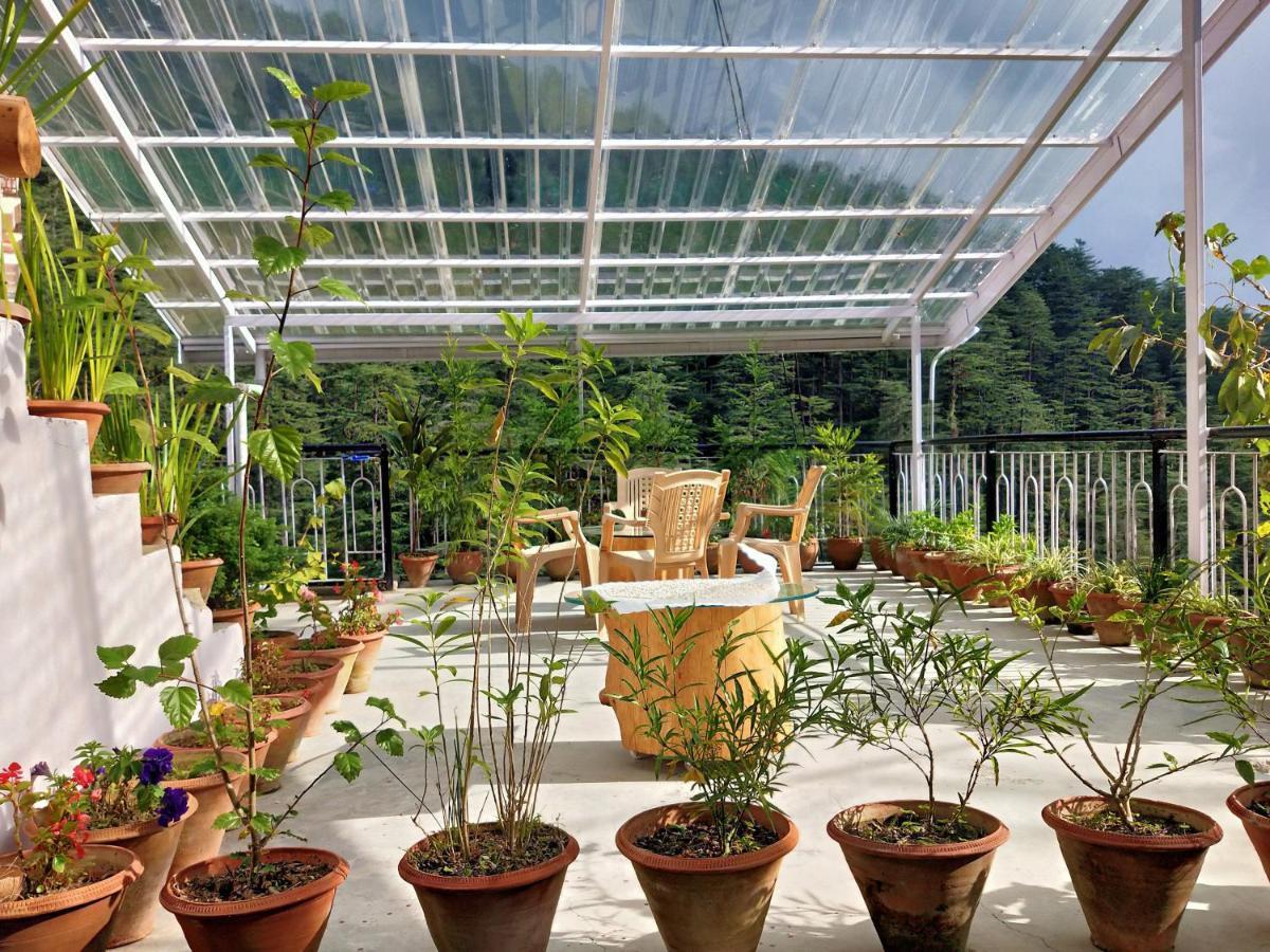 Neha Homestay Shimla Eksteriør billede