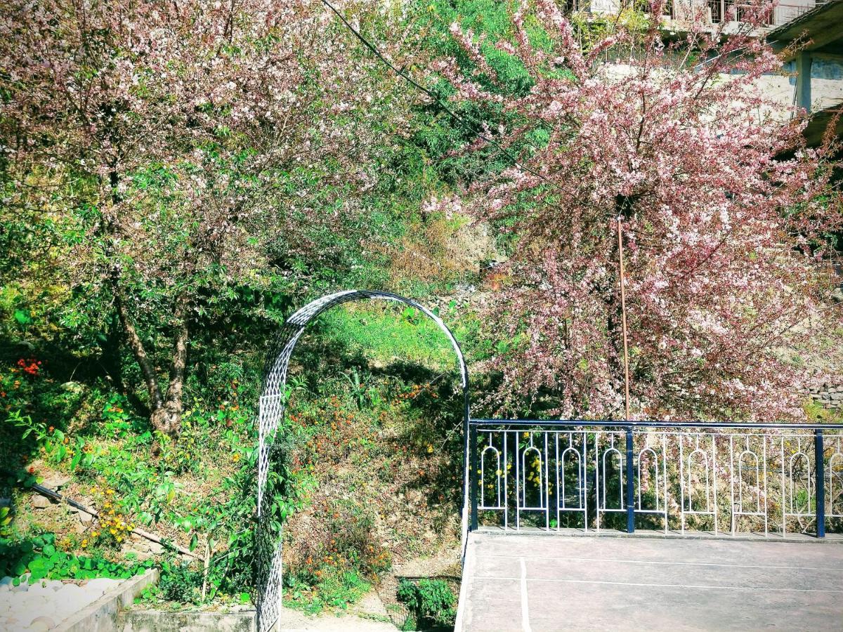 Neha Homestay Shimla Eksteriør billede