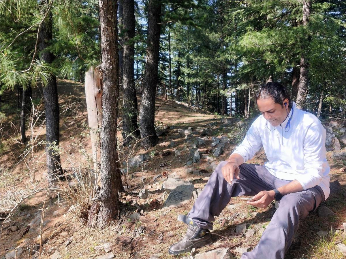 Neha Homestay Shimla Eksteriør billede