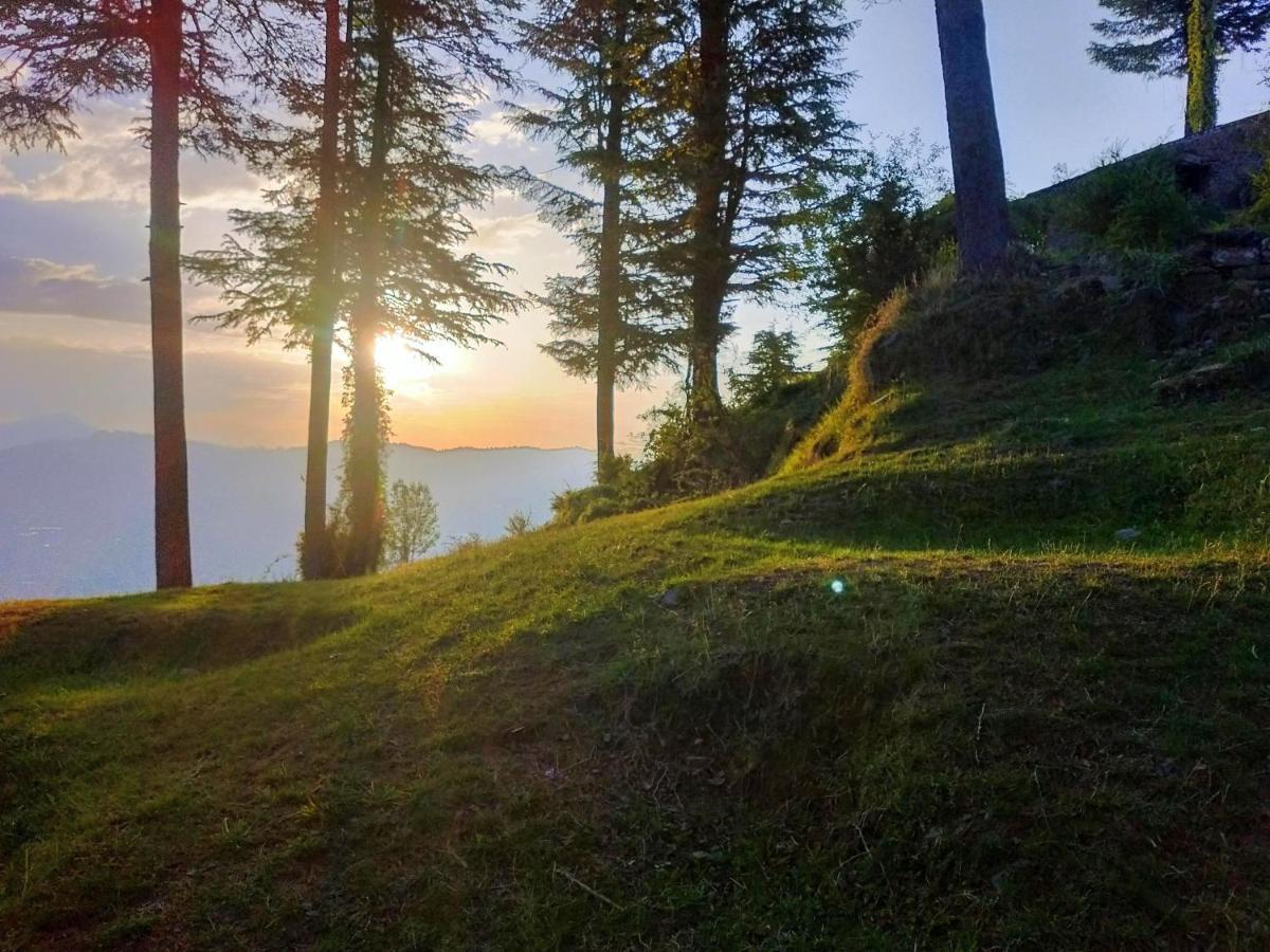Neha Homestay Shimla Eksteriør billede