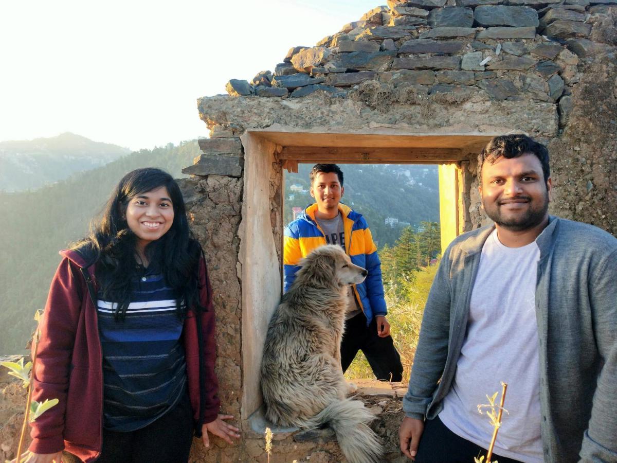 Neha Homestay Shimla Eksteriør billede