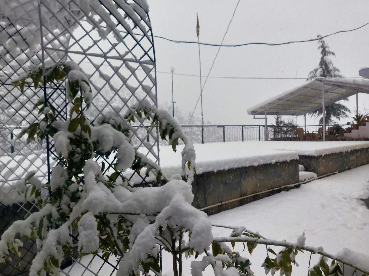 Neha Homestay Shimla Eksteriør billede