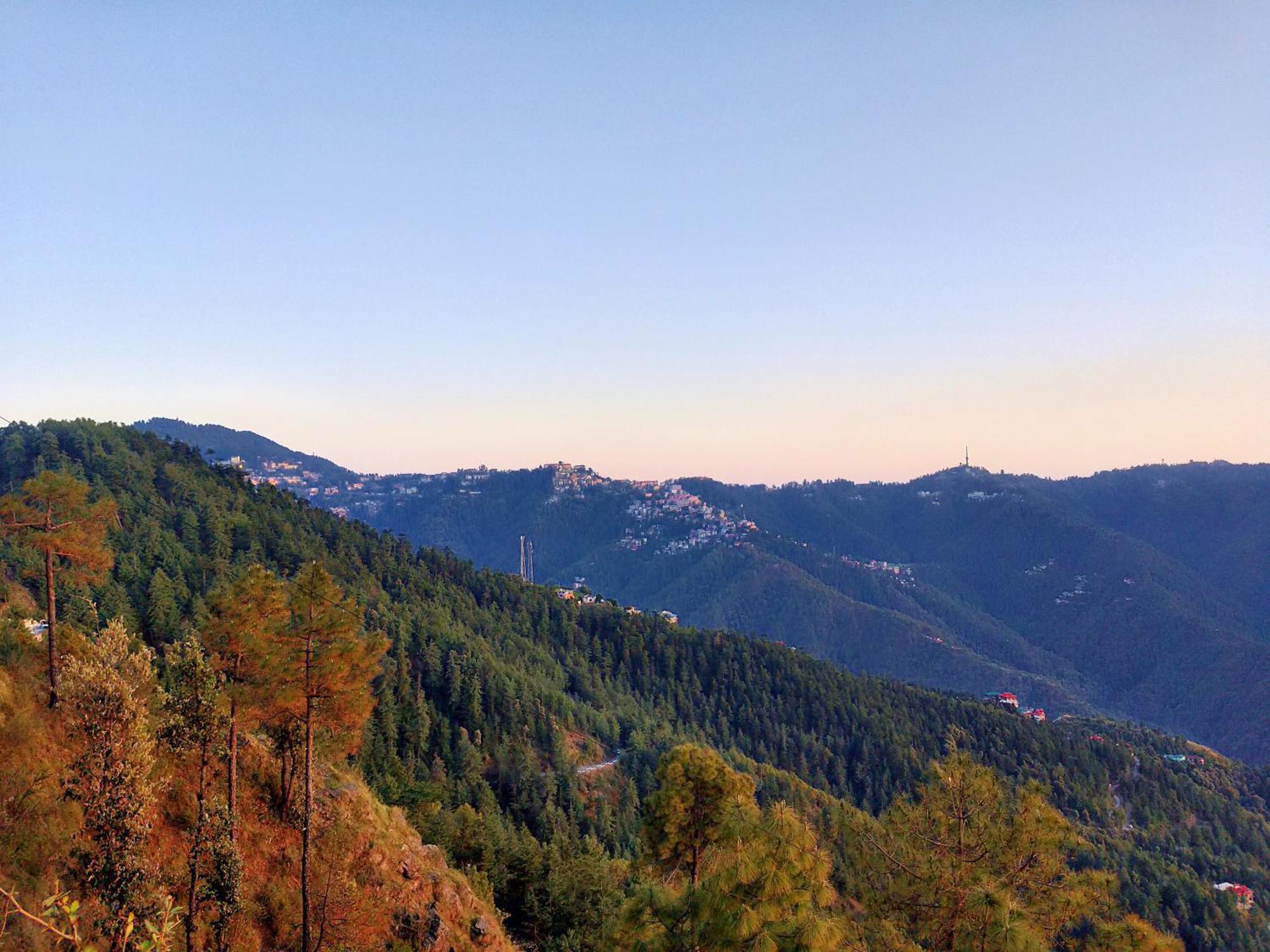 Neha Homestay Shimla Eksteriør billede