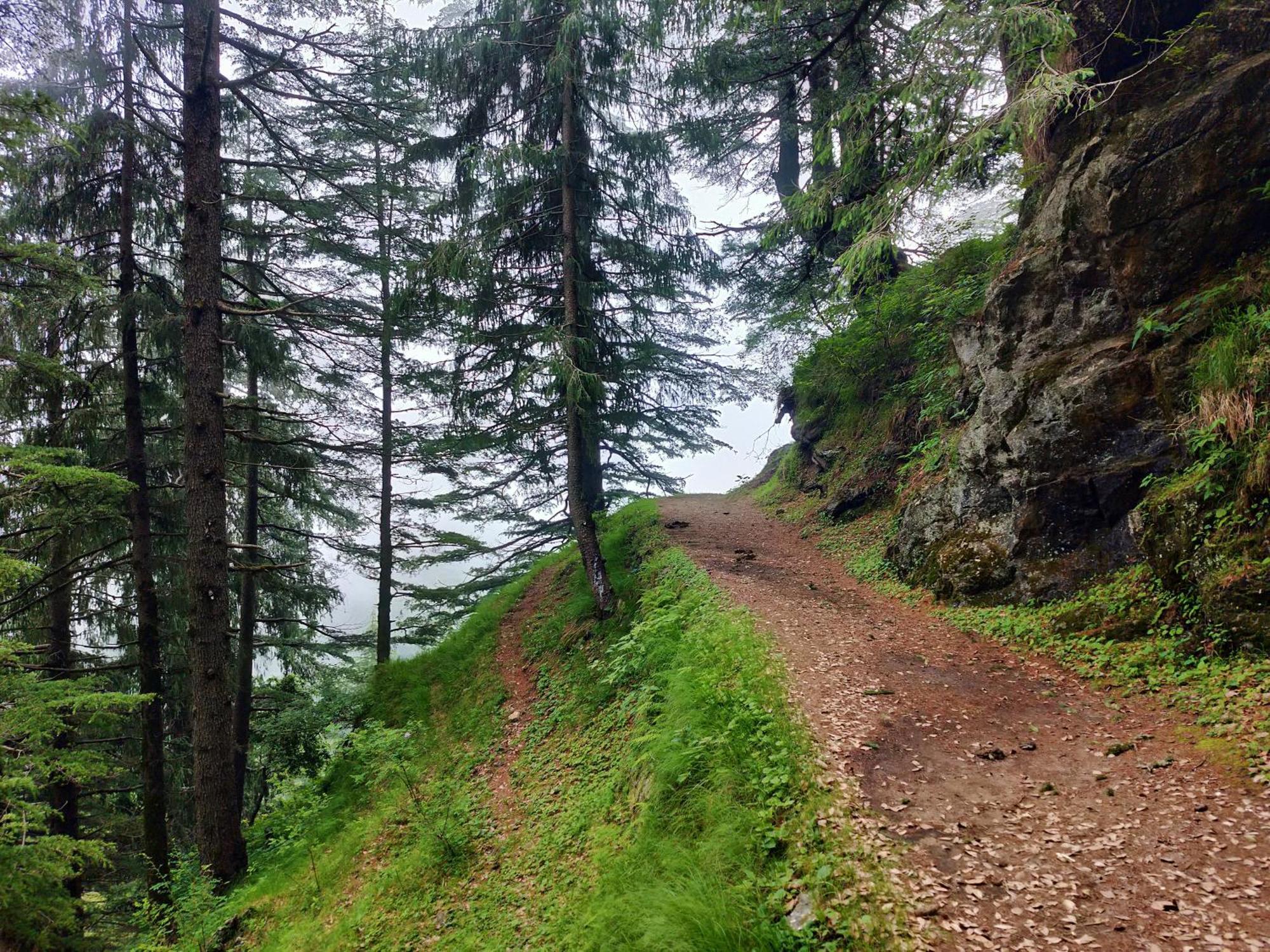 Neha Homestay Shimla Eksteriør billede