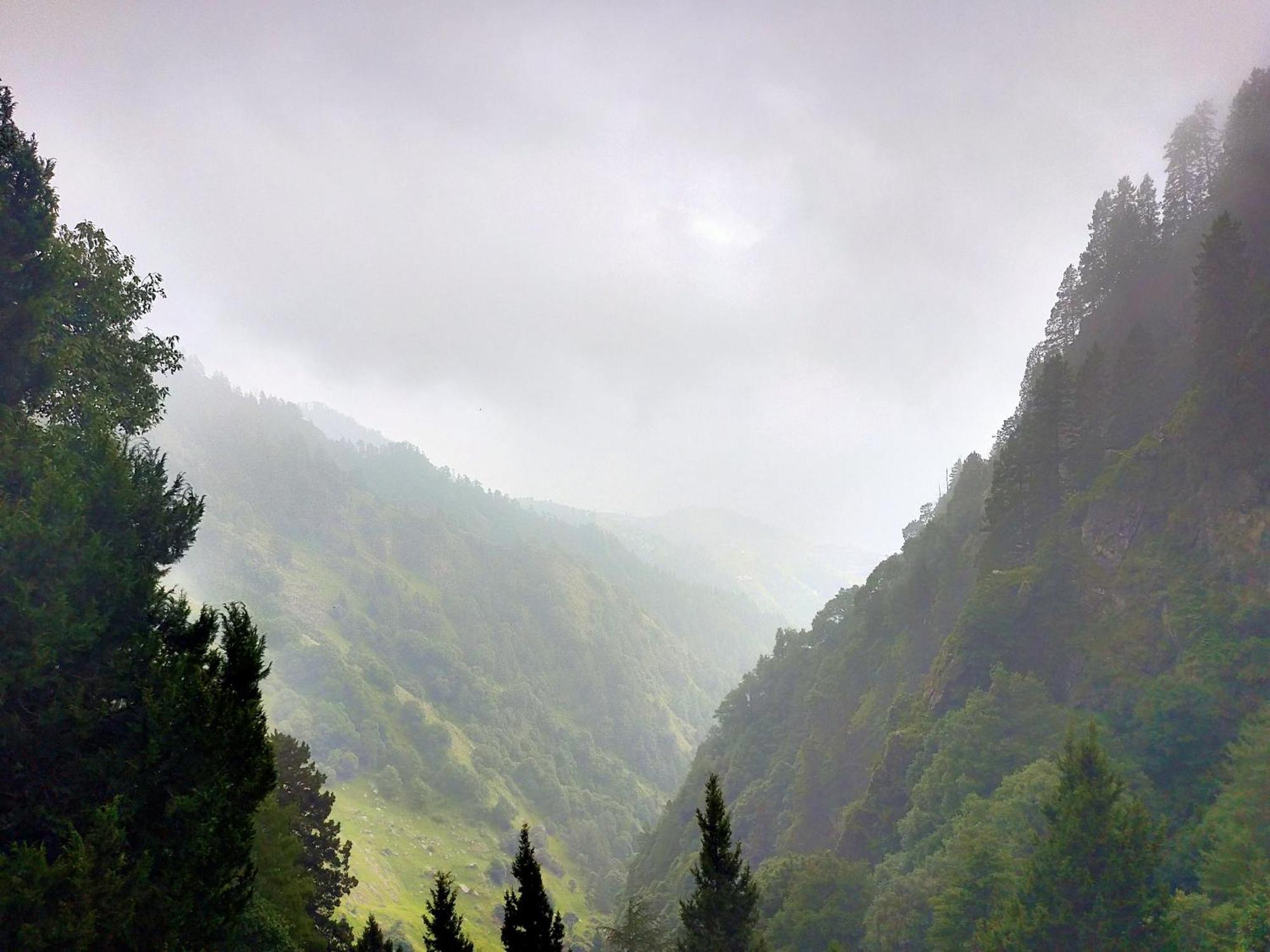 Neha Homestay Shimla Eksteriør billede