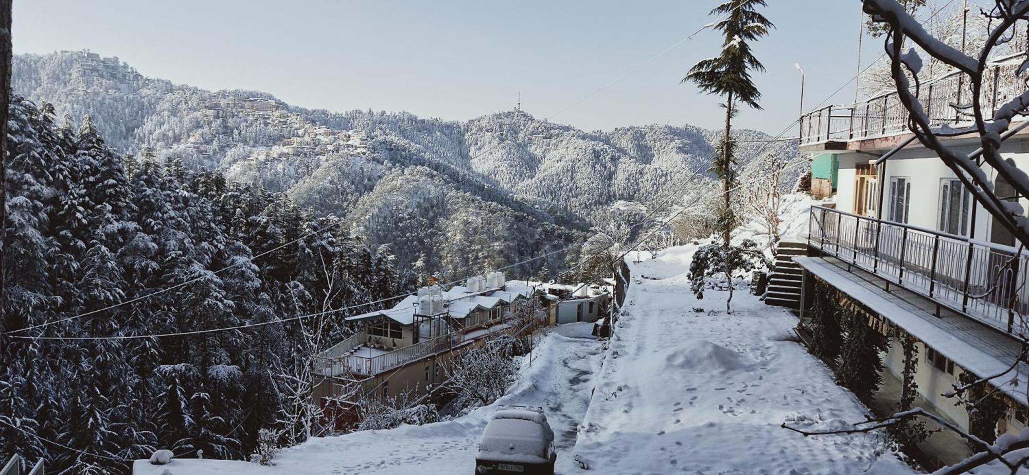 Neha Homestay Shimla Eksteriør billede